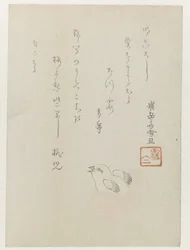 卵から孵化するひよこ