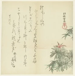 松の木