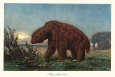 月明かりの下でメガテリウム americanum。