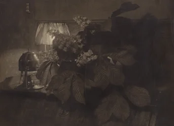 [トチノキの花とランプと壺のある静物】。］