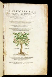 Rodolphe Speckle（d.1550）によって刻まれたLeonard Fuchs（1501-66）による &39;De Historia Stirpium Commentarii Insignes&39;のタイトルページ、1542年公開