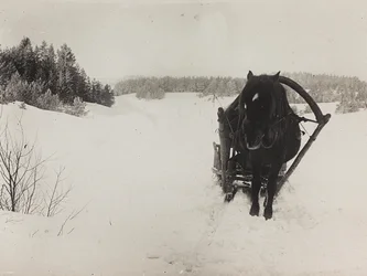 第一次世界大戦：「1914年から1916年にかけてのドイツ軍侵攻時のウクライナ。雪の中の馬車のそり（モノクロ写真