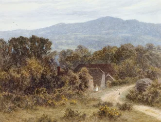 Witley、SandhillsのHindhead