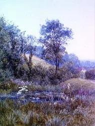 池のほとりで花を摘む