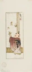 蝶
