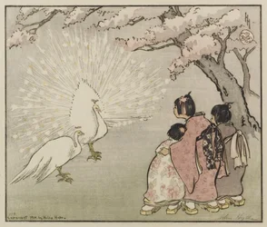 白孔雀、1914年（木版画の色）
