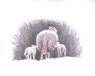 フォロー、2016年（鉛筆画）