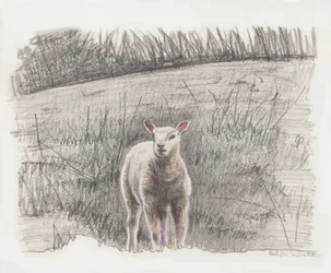 ランビー, 2016