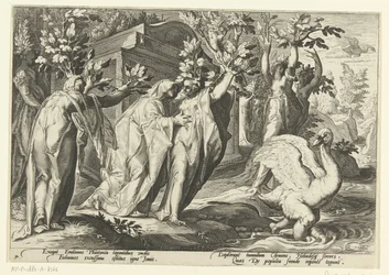 ファエトンの姉妹はポプラに、彼の友人は白鳥に変わる Ovid