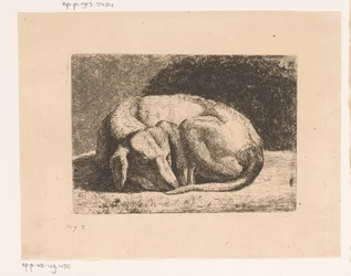 眠る犬