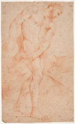 男性モデル研究、立っています。