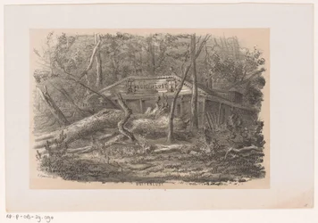 1860 年 5 月 28 日の嵐の後、Buitenlust 近くの吹き倒された木 屋外の欲望 (オブジェクトのタイトル) 1860 年 5 月 28 日の嵐の影響を受けたトネーレン ファン デ フェルウォスティングを描いた 10 枚のリトグラフ スケッチのアルバム