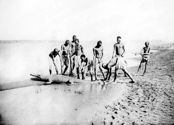 ワニの狩猟、ヌビア、エジプト、1887