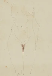 女性の裸のトルソ (紙にペンとインク)