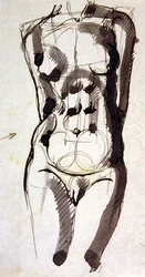 女性のトルソー