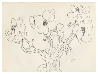 花瓶のアネモネ