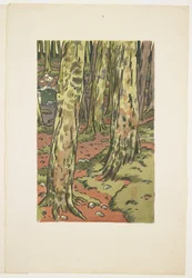 Loguivy の森の中の洗濯物