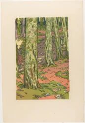 Loguivy の森の中の洗濯物