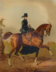 「女性の馬 - 故ペンブローク伯爵の財産」、1840 年代、1879 年頃。
