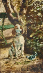 画家の犬フレッシュ
