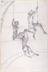 フライングトラペーズ