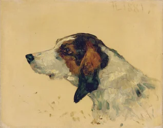狩猟犬、1881年