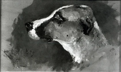 耳の短い犬の頭、1879年