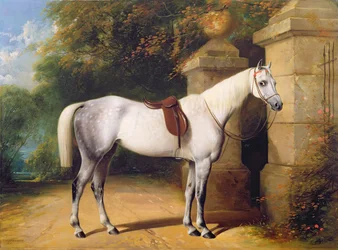 公園の門のそばの灰色の馬、1851年