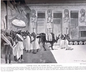 Cambysesは、「ハチソンの歴史」のイラスト、c.1910からの神聖な雄牛を倒します