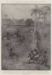 ナイジェリアの開拓、アロ遠征