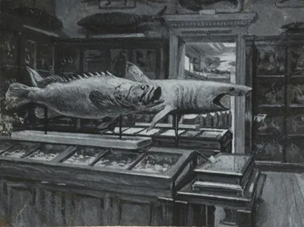 魚類展示室を示す大英博物館の内観 1880年頃（紙にウォッシュ＆ボディカラー