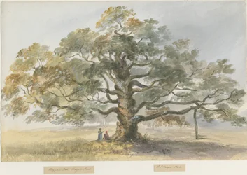 ブリスフィールド-乞食のオーク：水彩画、1844