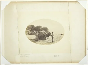 Cader-Idris の斜面で、干し草の最後の積み込み、1883 年。