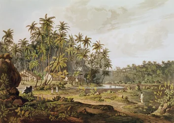1809年に出版されたダニエルハヴェル（1785-1826）によって彫刻されたセイロンポイントデュゴール近くのビュー