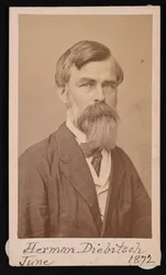 Herman Henry Diebitsch 1818-1883、1871 の肖像。