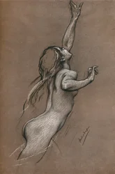 トビウオの習作、1910年頃