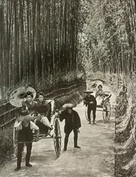 京都の竹道、1910年。