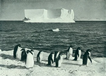 マクマードサウンドで漂流するベルク、c19101913、1913。