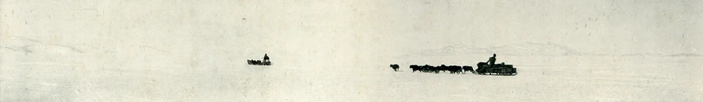 バリアに向かって疾走する犬、c1911、1913