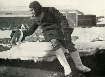 リュート。レニックと友好的なペンギン、1911年、1913年