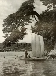 松島湾、1910年。