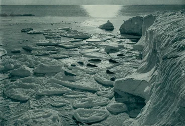 エバンス岬で新しく形成されたパンケーキの氷を浴びているアザラシ、c19101913、1913
