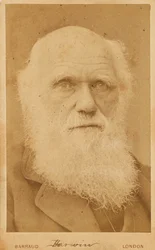 チャールズ・ダーウィンの肖像 1809-1882年 1881年