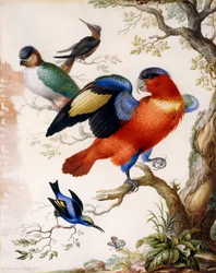 森の中の4羽の鳥、