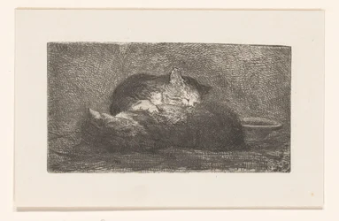 2匹の猫