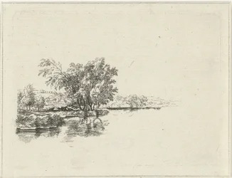 堤防沿いの木々の下に牛がいる水の特徴 池