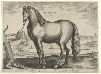 ブルターニュの馬 (Brittanus) Britannvs (オブジェクトのタイトル) オーストリアのドン ファンの王室厩舎の馬の品種 (シリーズ タイトル) Equile Ioannis Austriaci Caroli (シリーズタイトル)