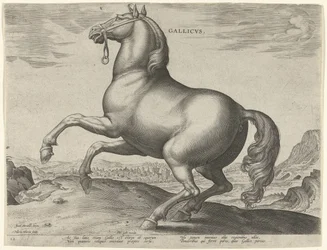 フランスからの馬 (Gallicus) Gallicvs (オブジェクトのタイトル) オーストリアのドン ファンの王室厩舎の馬の品種 (シリーズ タイトル) Equile Ioannis Austriaci Caroli (シリーズタイトル)