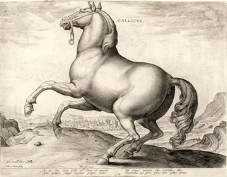 オーストリアのドンファンの厩舎からの馬シリーズのガリカス（彫り込み彫刻）