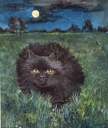 猫と月